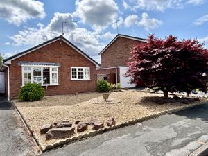 Front- click for photo gallery